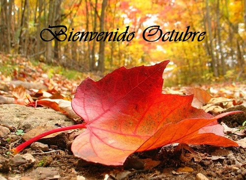 Septiembre y Octubre, la vuelta al "cole"