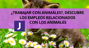 TRABAJOS RELACIONADOS CON ANIMALES