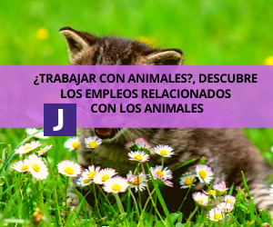 TRABAJOS RELACIONADOS CON ANIMALES