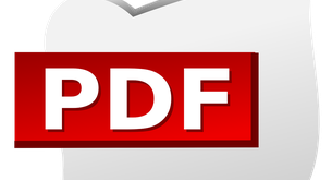 ¿Cómo conseguir la vida laboral en PDF?