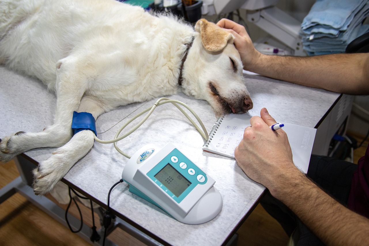 ¿Cuánto tiempo tardan los resultados de un reconocimiento médico?